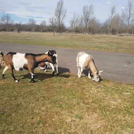 Apartment Csillagmajor Csabrendek